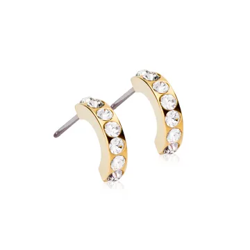 Blomdahl &Oslash;reringe til Pige, Dame udf&oslash;rt i Titanium i en flot Guld farve