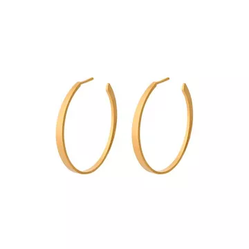 PERNILLE CORYDON Starlight Earsticks (guld/sølv)