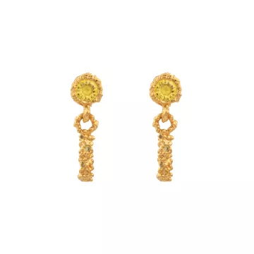 House of Vincent Øreringe til Dame udført i 925 Sterling Sølv i en flot Guld farve