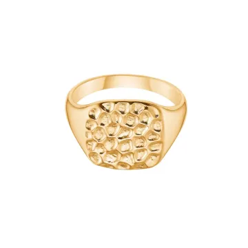 Avilé Jewelry Ring til Dame udført i 925 Sterling Sølv i en flot Guld farve