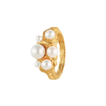 House of Vincent Ring til Dame udført i 925 Sterling Sølv i en flot Guld farve