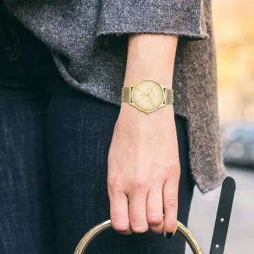 Tommy Hilfiger Layla 1782458 ur til Dame med Guld urskive p&aring; 38 mm i diameter og Meshl&aelig;nke urrem i Gold