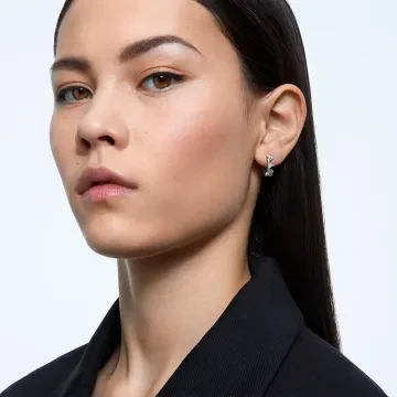 Swarovski Øreringe til Dame udført i Rustfrit stål, Sten i en flot Sølv farve