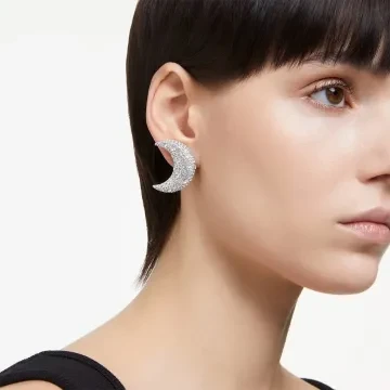 Swarovski Øreringe til Dame udført i Rustfrit stål i en flot Sølv farve