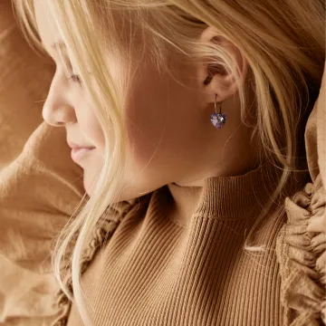 Blomdahl Øreringe til Dreng, Pige, Herre, Dame udført i Titanium i en flot Multi, Sølv farve