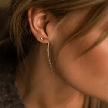 Blomdahl &Oslash;reringe til Dreng, Pige, Herre, Dame udf&oslash;rt i Titanium i en flot S&oslash;lv farve