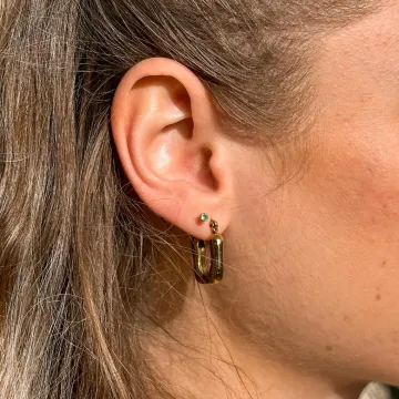 Schultz Øreringe til Herre, Dame udført i Rustfrit stål i en flot Guld farve