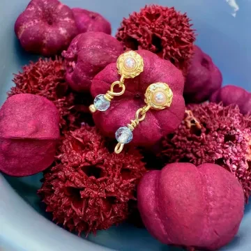 Wioga &Oslash;reringe til Dame udf&oslash;rt i 925 Sterling S&oslash;lv i en flot S&oslash;lv farve